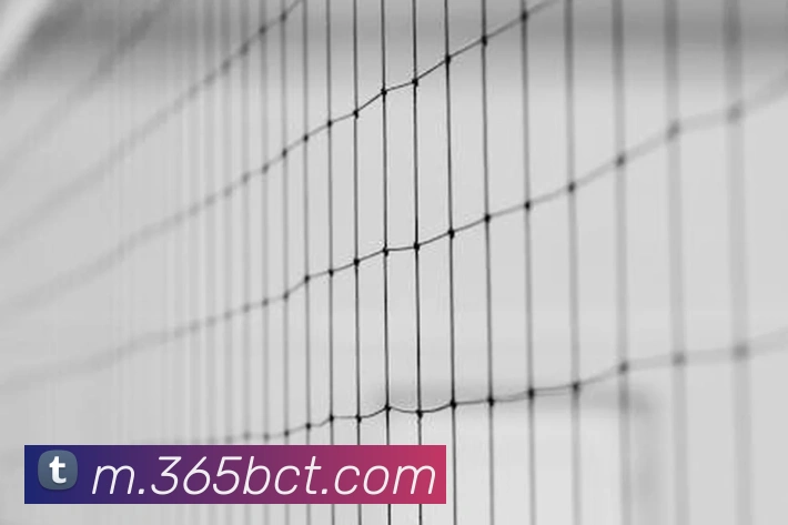 bet365APP 封面图